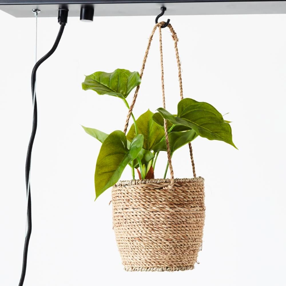 Lampe suspendue Bankwood 50 cm Brilliant 4004353396571