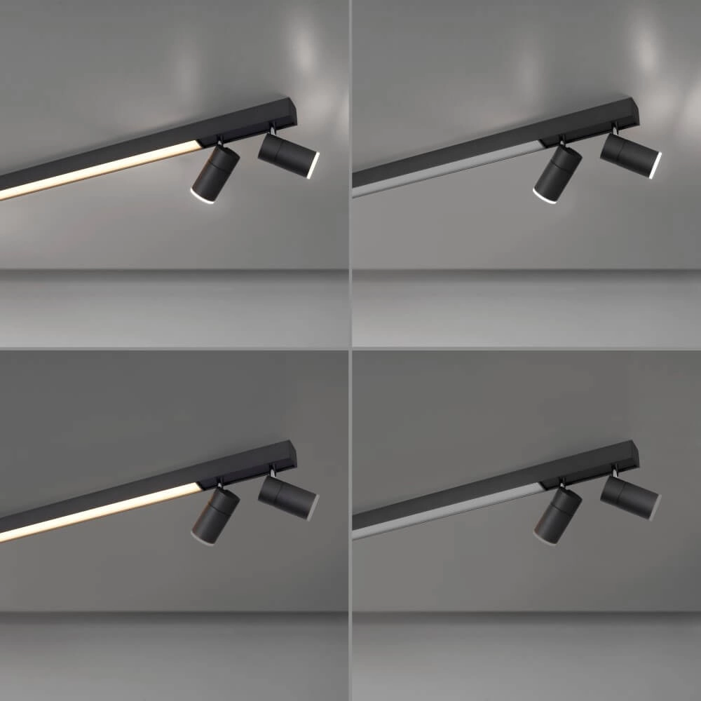 Plafonnier élégant Pure Lines Spot anthracite Paul Neuhaus 4012248366349