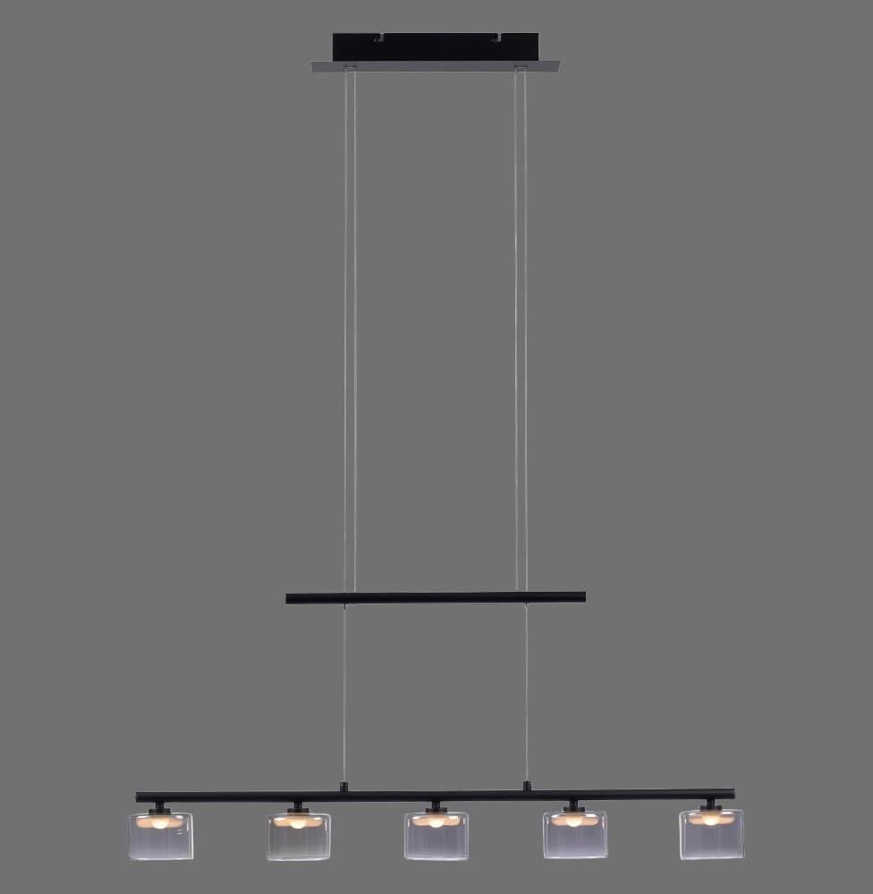 Lampe suspendue 5 lumières Hydra noir Paul Neuhaus 4012248364970