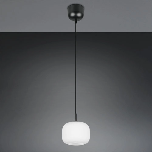 Lampe suspendue Signe blanc Ø 15cm Trio 4017807686715