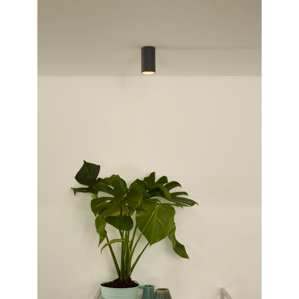 Spot lisse monté en surface Delto gris Ø 5,5cm incluant la source lumineuse Lucide 5411212092373