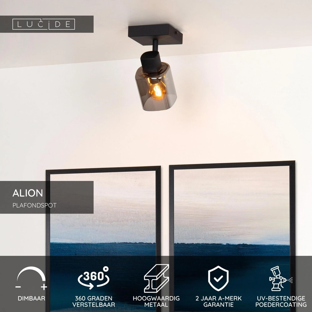 Lampe de plafond Alion Noir simple avec verre fumé Lucide 5411212176981