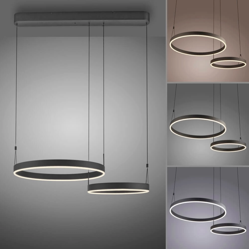 Lampe suspendue design Esko noir Paul Neuhaus 4012248384565