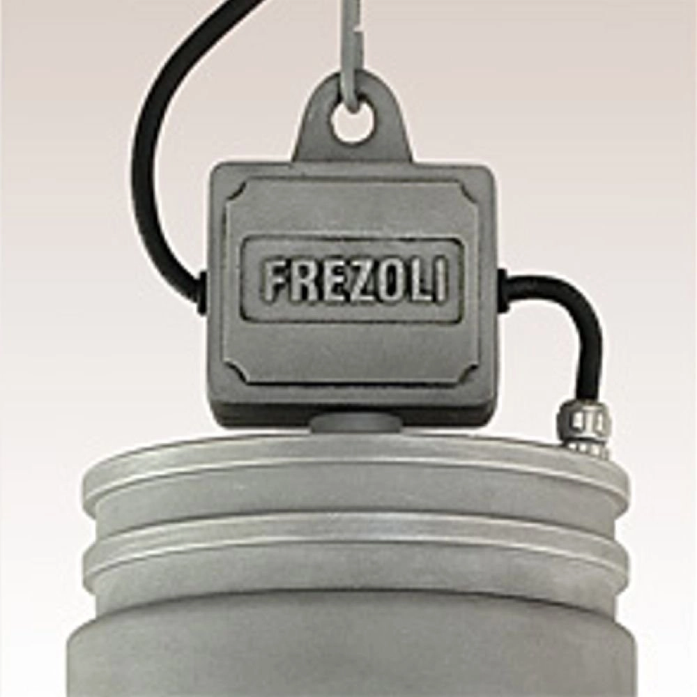 Lampe suspendue de porche Orr Rural Tierlantijn 8716803506497