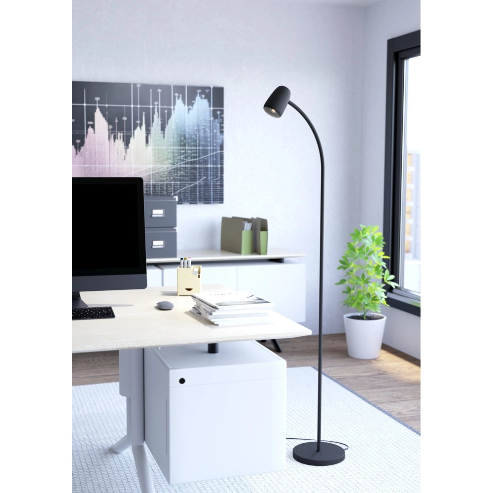 Lampadaire Carlo noir Eglo 9008606360819