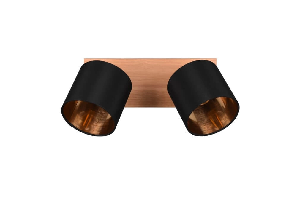 Spot de plafond rural Tommy 2 lumières Trio 4017807542561