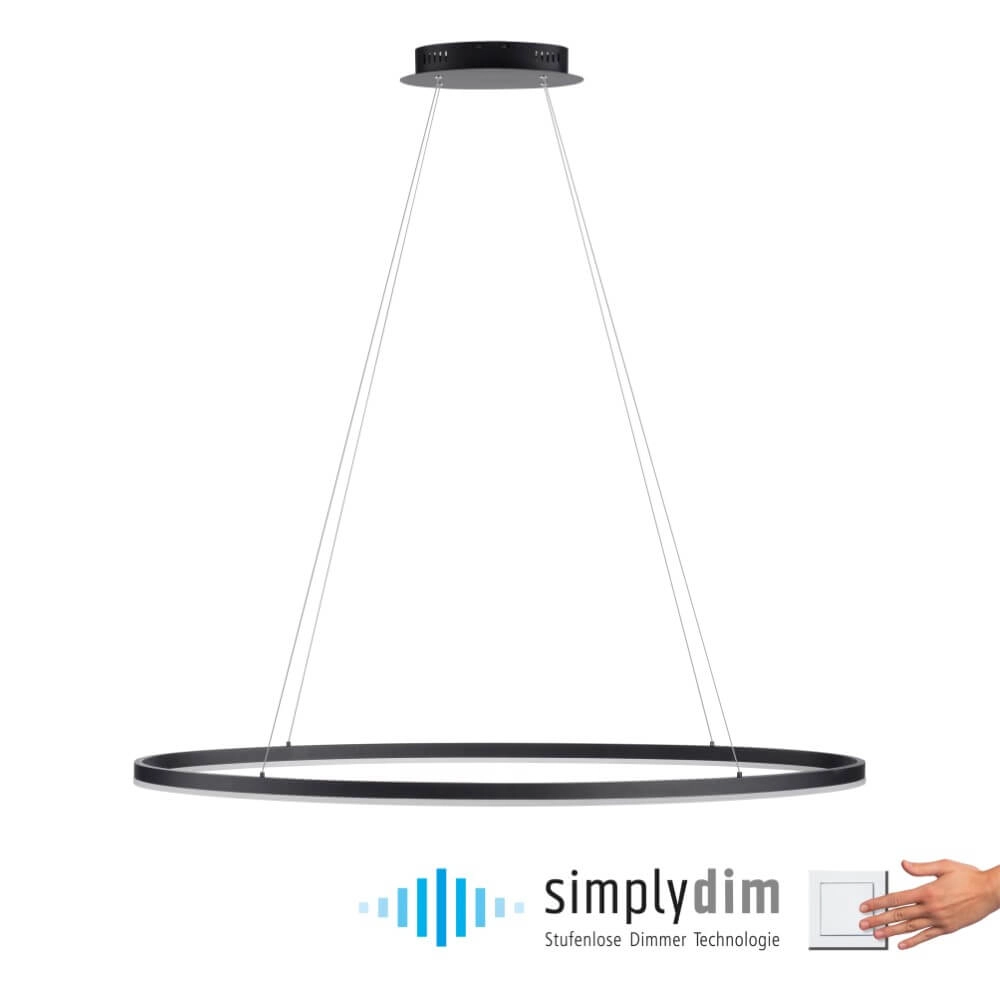 Lampe à suspension anthracite Titus Ø 118 cm Paul Neuhaus 4012248375228