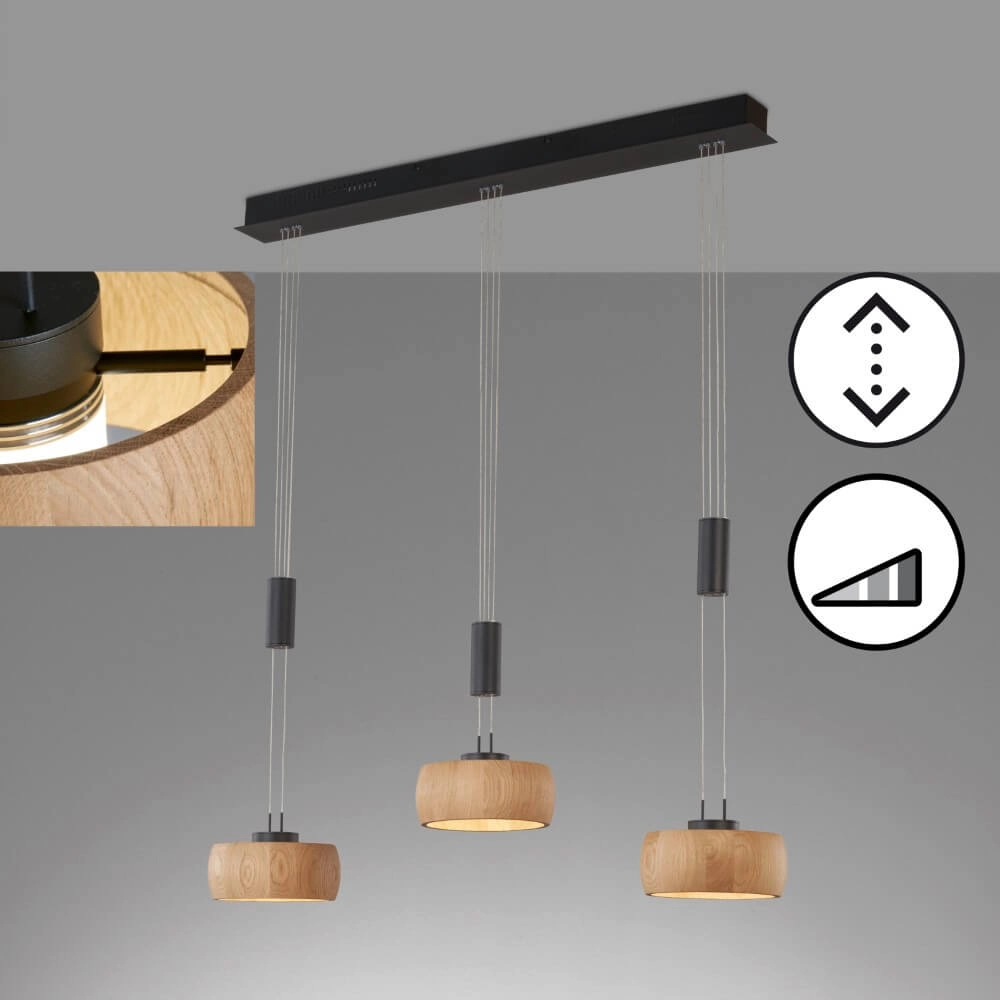 Lampe suspendue 3 lumières Shine-Wood noir Fischer & Honsel 4003694610933
