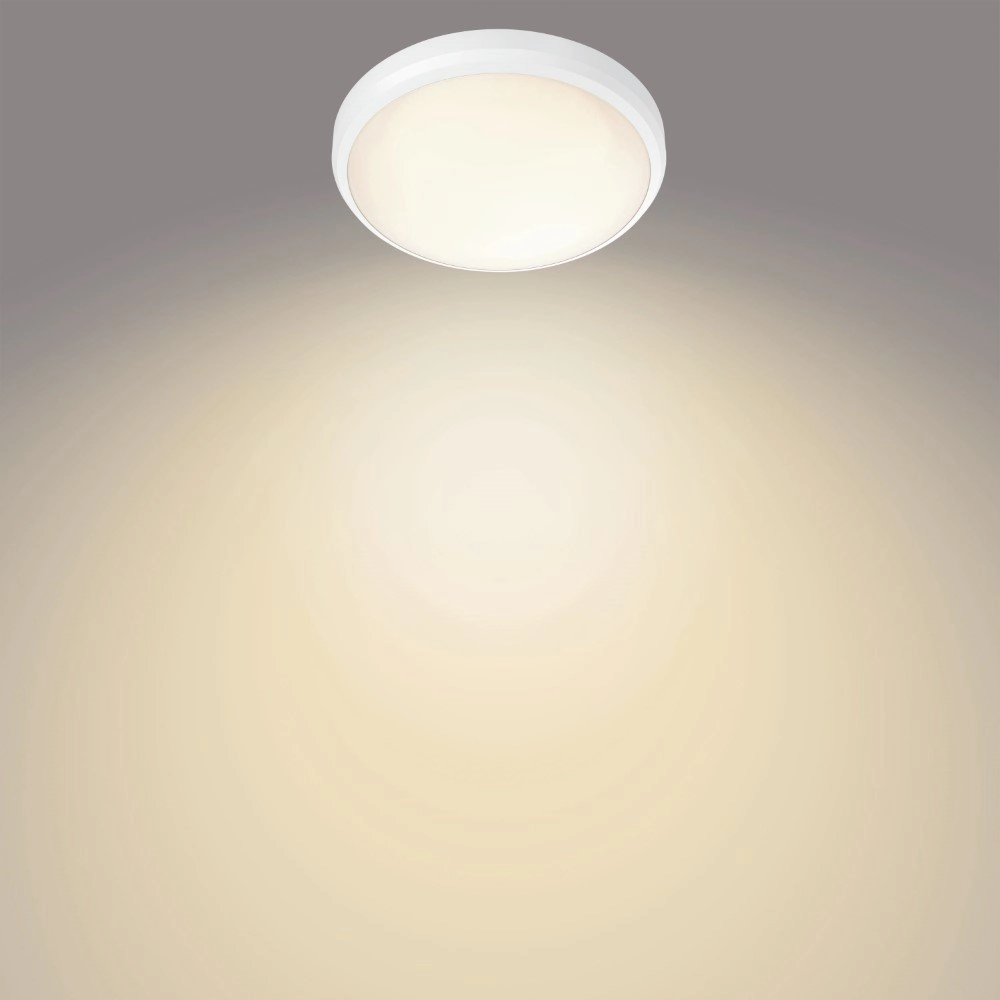 Plafonnier de salle de bain Balance Ø 22,5 cm Philips 8718699778873