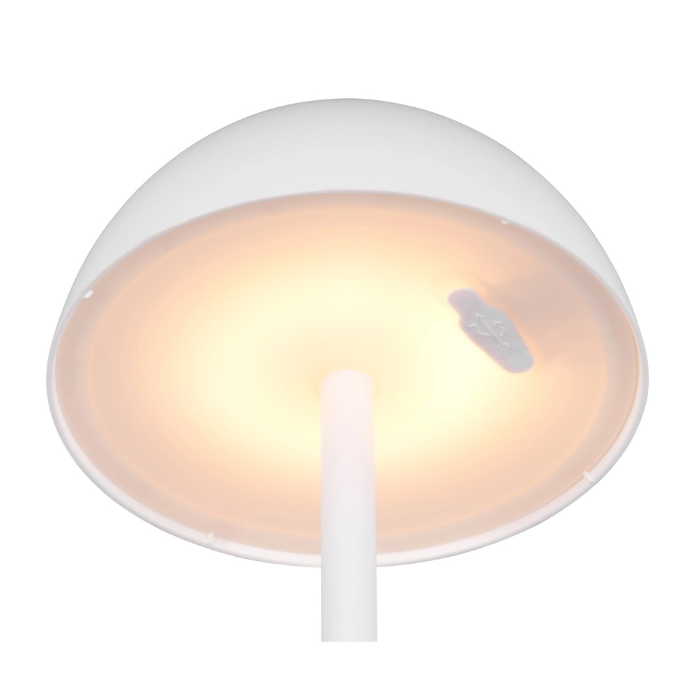 Lampe de table Ricardo blanc Ø 13,5cm Trio 4017807601787