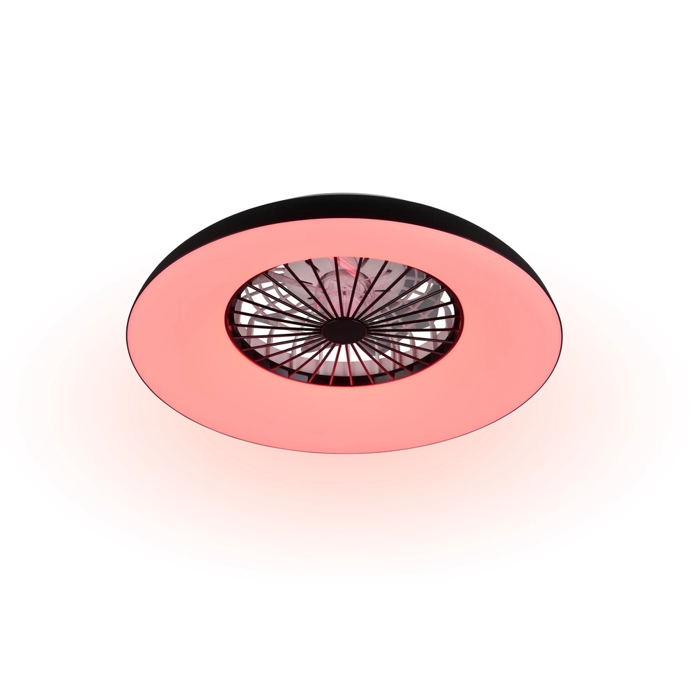 Ventilateur de conception Svaerholt noir Ø 60cm avec fonction RVB Trio 4017807688795