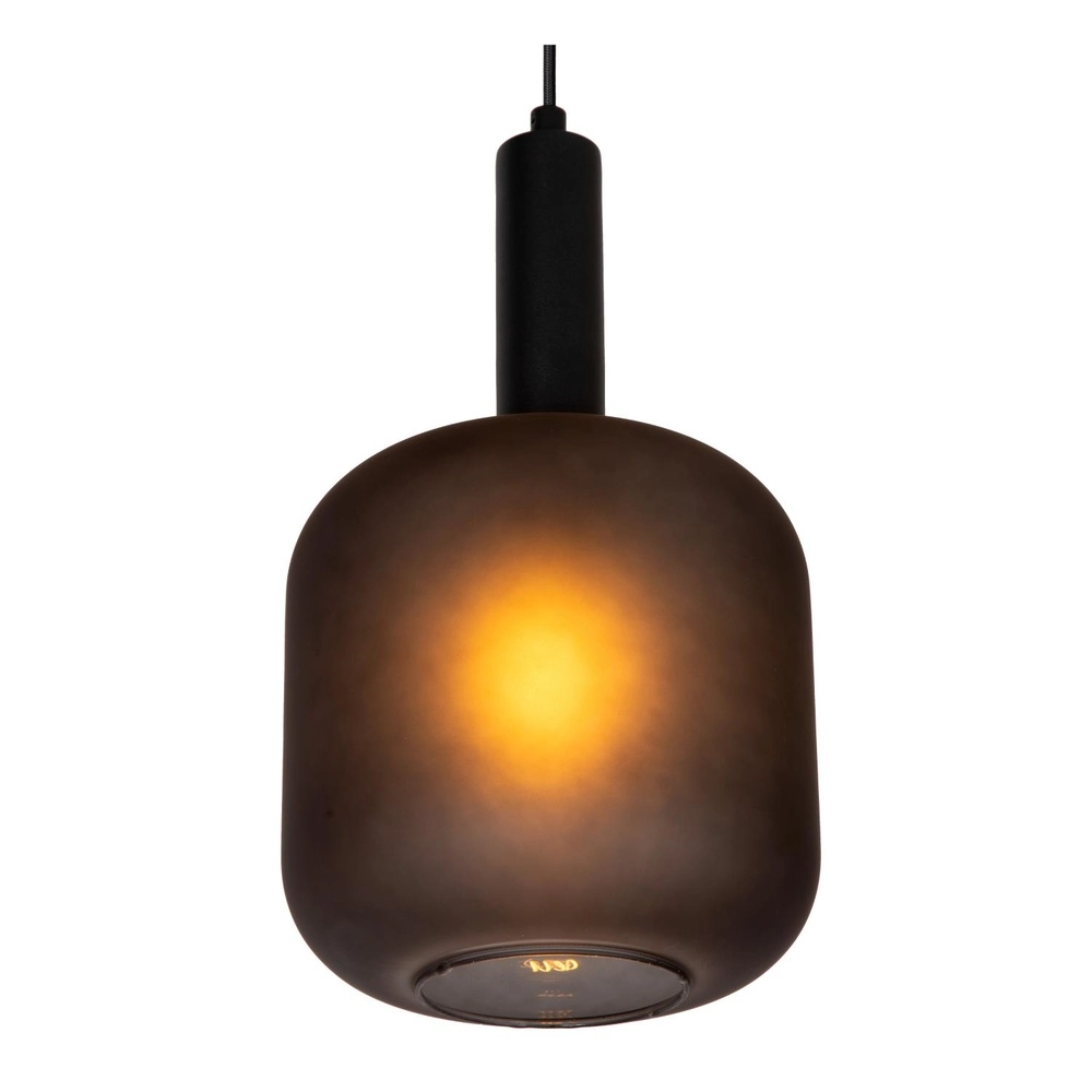 Lampe pendante noire Eloise 1-lumière Ø 21cm Lucide 5411212452450
