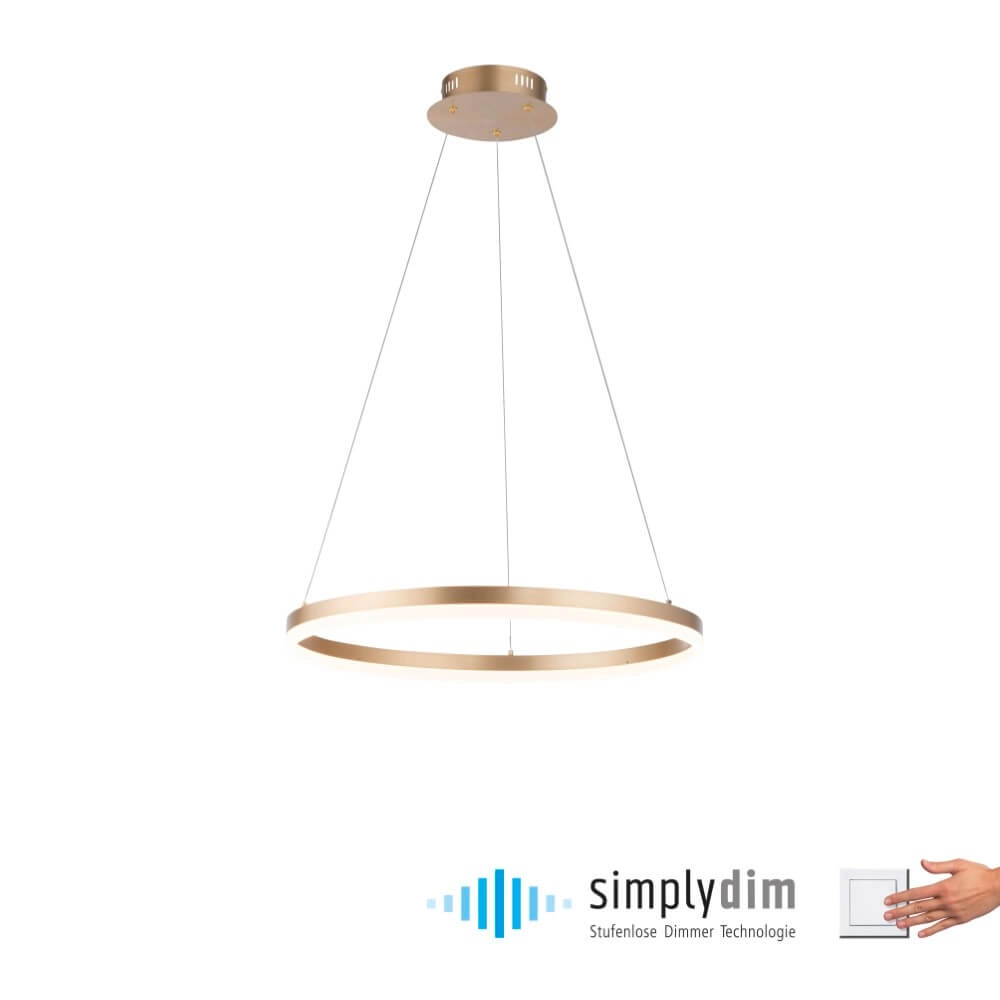 Lampe suspendue moderne Titus Ø 60cm laiton antique Paul Neuhaus 4012248362853