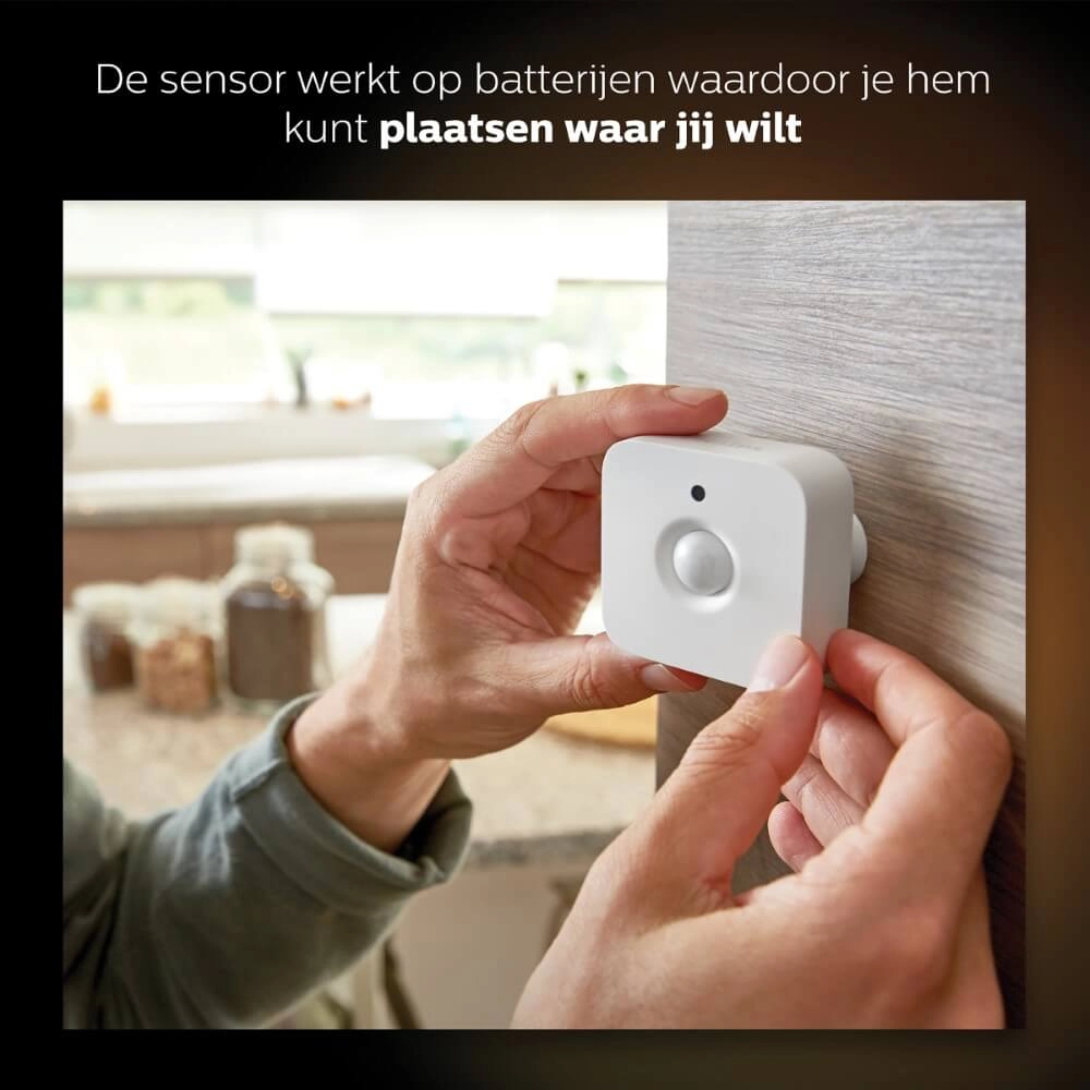 Hue Motion Sensor capteur de mouvement Philips 8719514342125