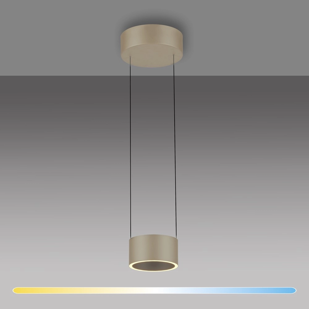 Suspension LED de conception Pure Clipse Bronce Paul Neuhaus 4012248396308