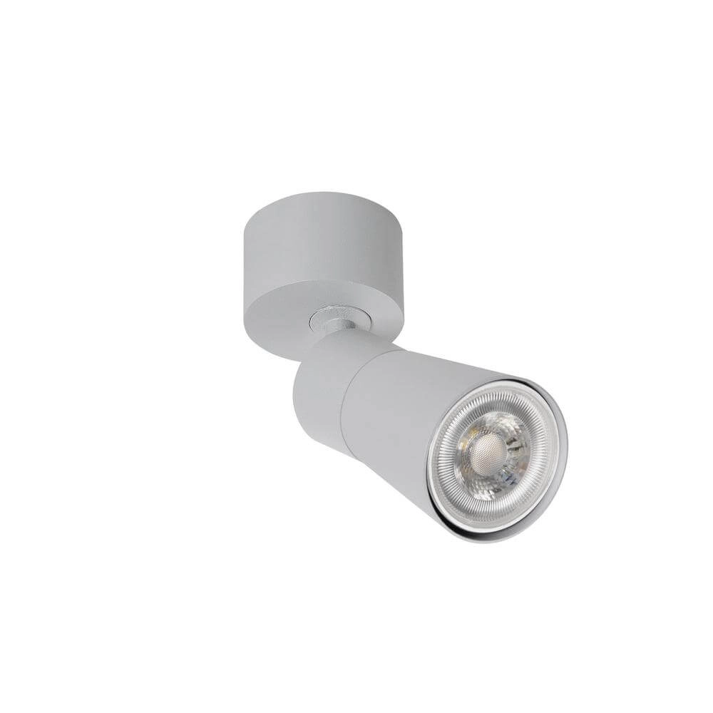 Spot monté en surface Puri 2.0 Cone Gris simple SLV 4024163294355