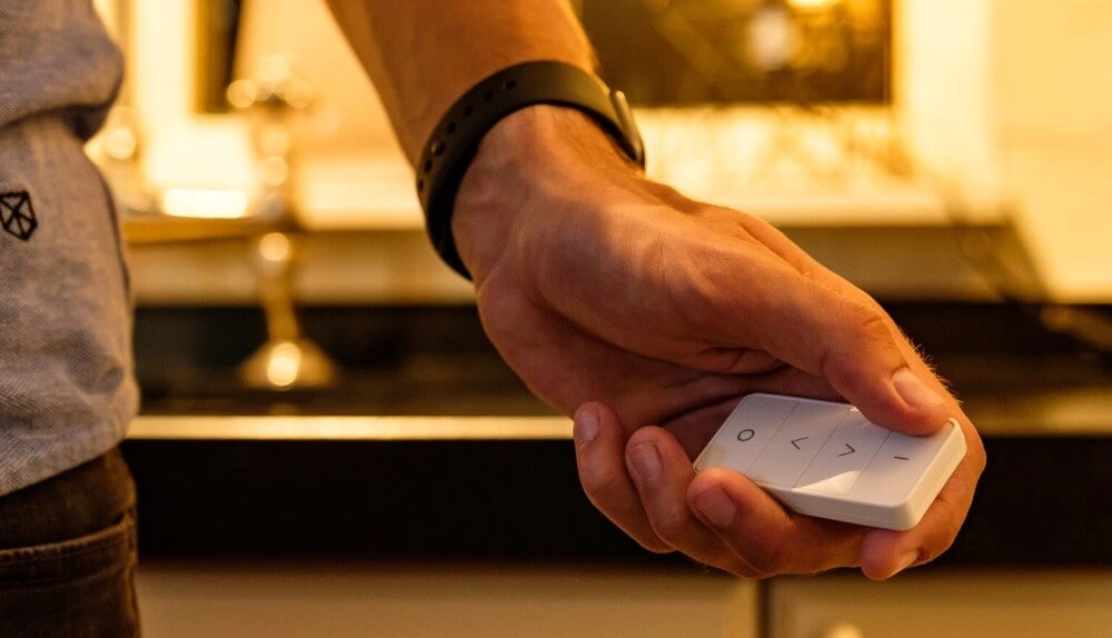 Dimming Remote AduroSmart 644558228723