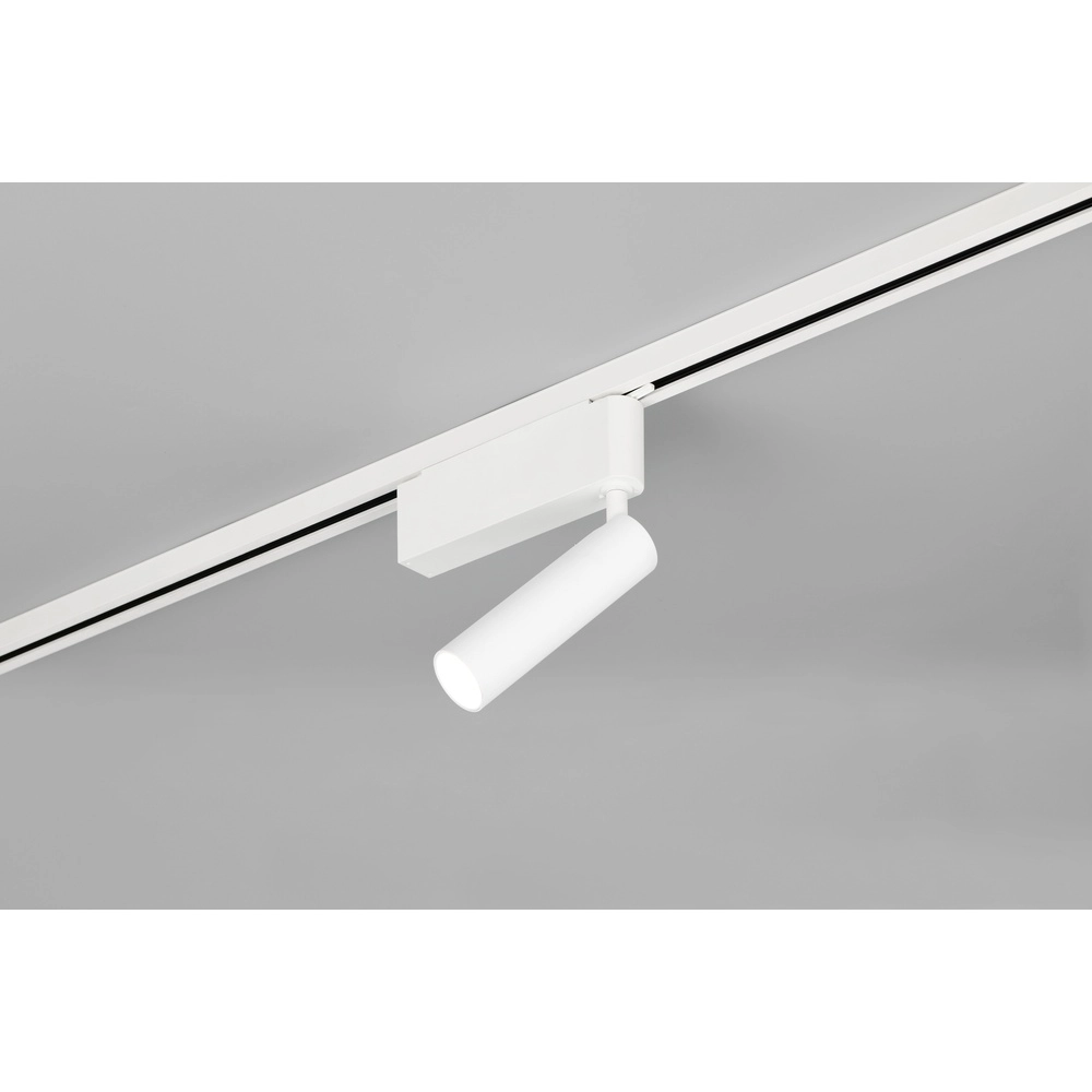 Spot ferroviaire Ambala Blanc 2 phases Trio 4017807663013