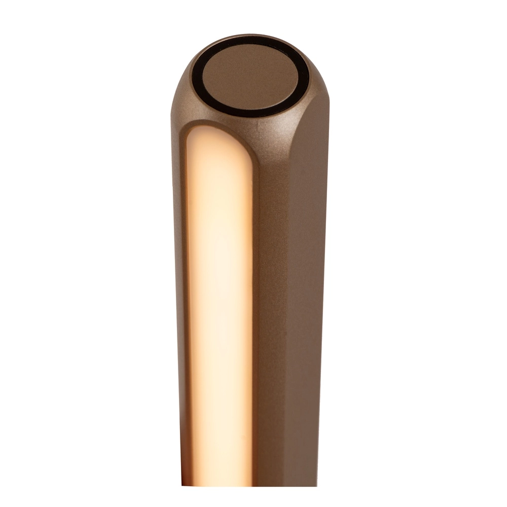 Lampe sur pied LED de 155 cm Braga Champagne Premium by Lucide 5411212234452