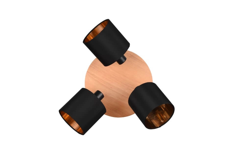 Spot de plafond rural Tommy 3 lumières Trio 4017807542585