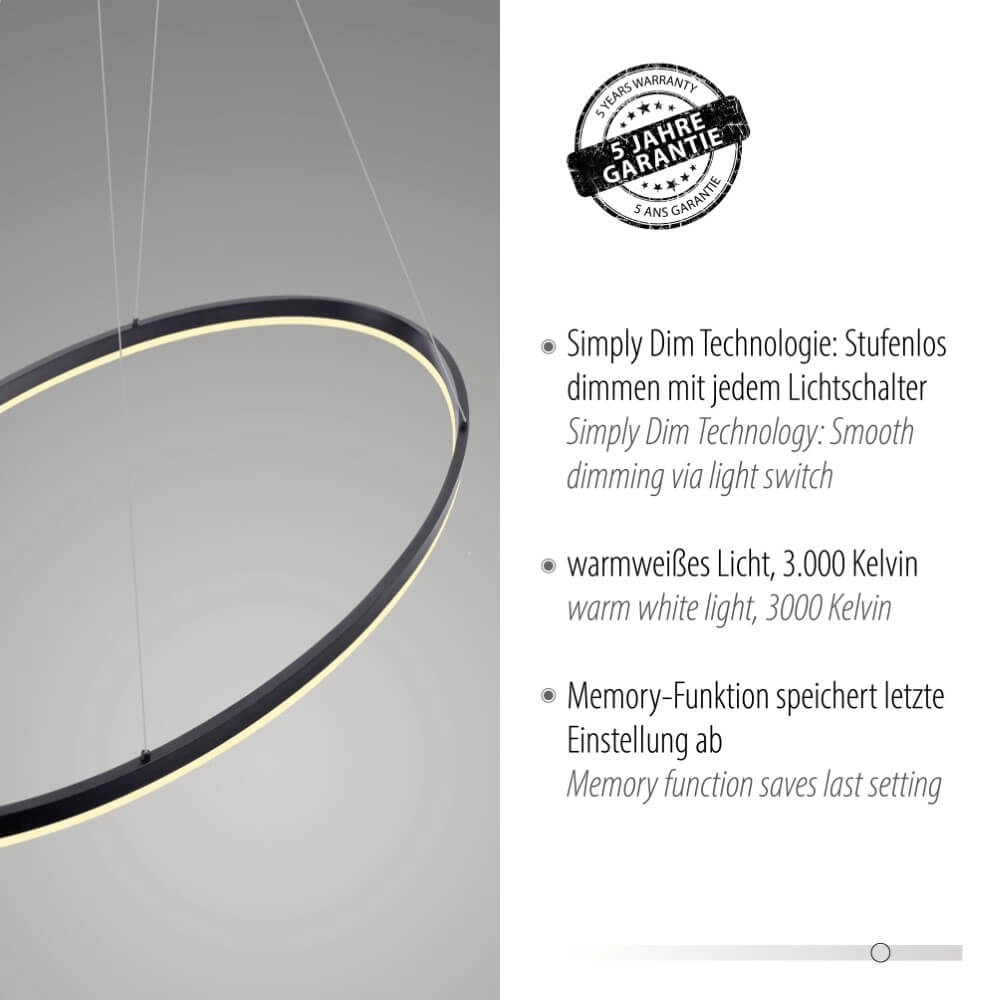 Lampe à suspension anthracite Titus Ø 118 cm Paul Neuhaus 4012248375228