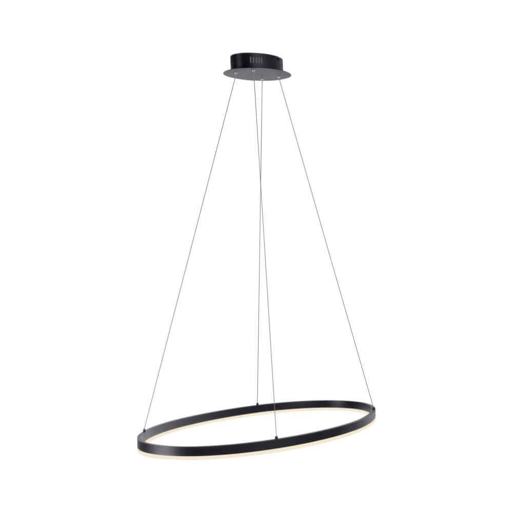 Lampe à suspension anthracite Titus Ø80cm