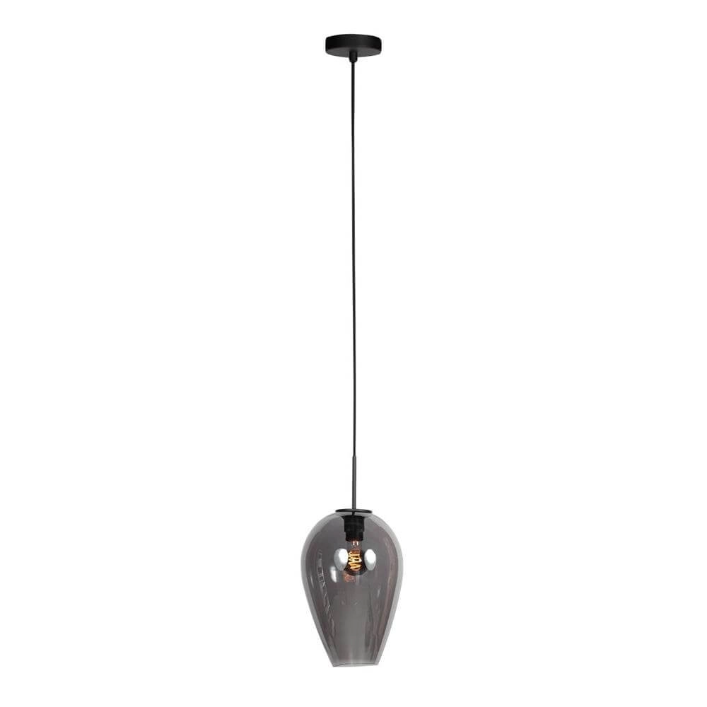Suspension HaloSwap avec 1 verre à fumée Ø 22,5cm Suspension HaloSwap avec 1 verre à fumée Ø 22,5cm