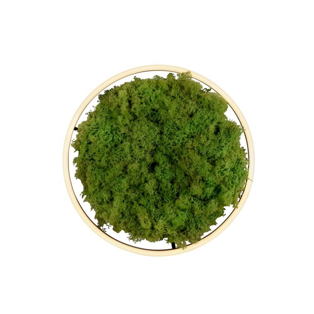 Plafonnier Green Ritus avec mousse Ø 39,3cm Just Light 4043689994792