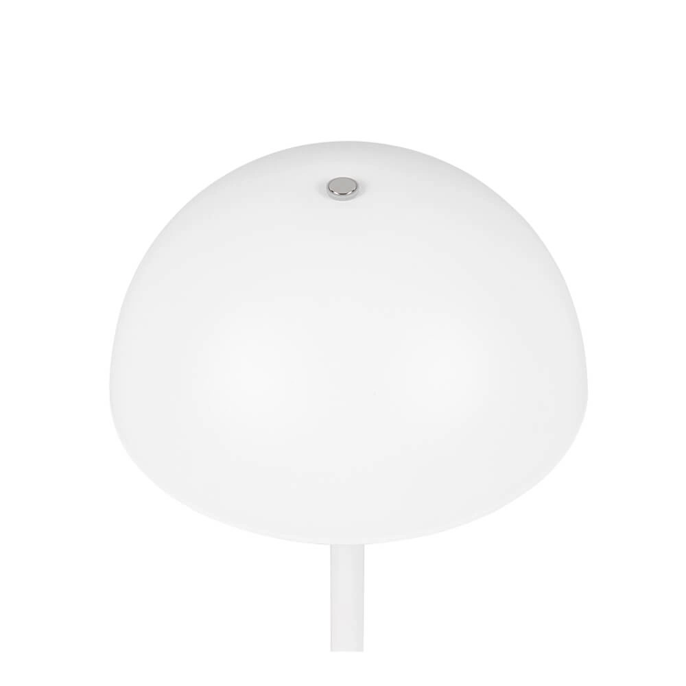 Lampe de table Munoz blanc Ø 13cm Trio 4017807640847