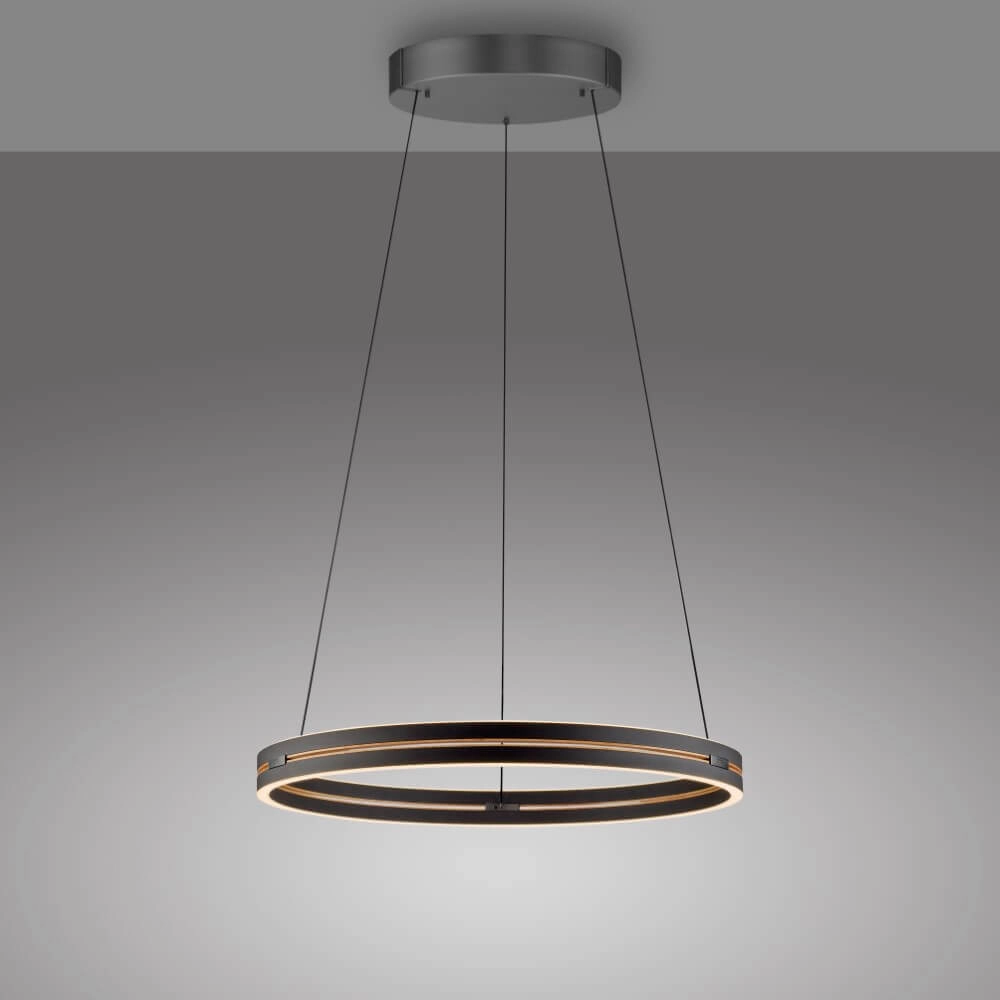 Lampe suspendue élégante Pure E-Loop noir Ø 70cm Paul Neuhaus 4012248384336