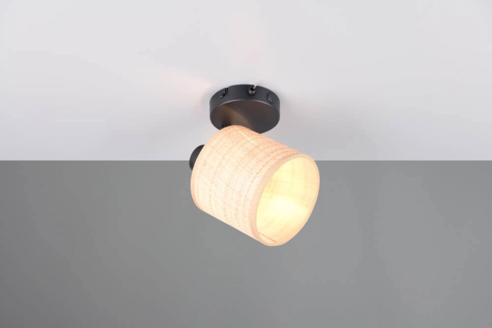 Applique murale noire Aimee avec bouchon de crème Trio 4017807637335