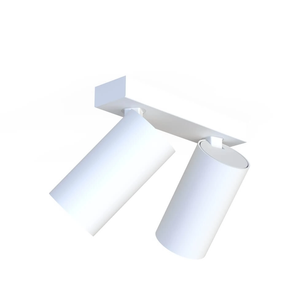 Spot en saillie blanc Mono 2 lumières inclinables Lyora 5903139781091