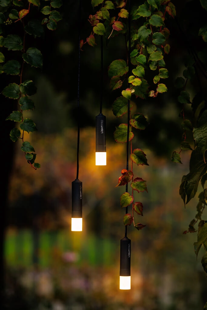 Lampes suspendues 12 volts Rodas lot de 3 Lightpro 8719979284152