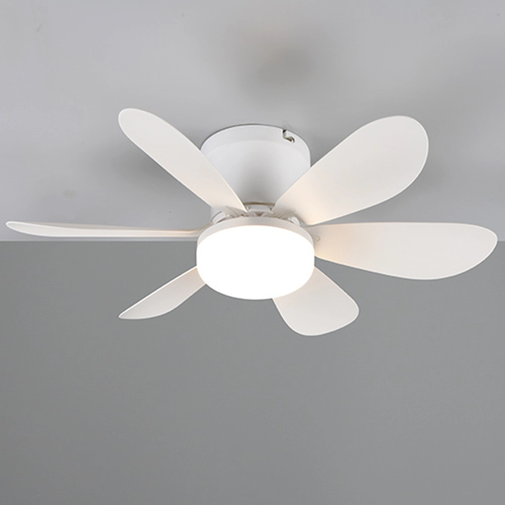 Éventail blanc Lund Plafond Trio 4017807643695