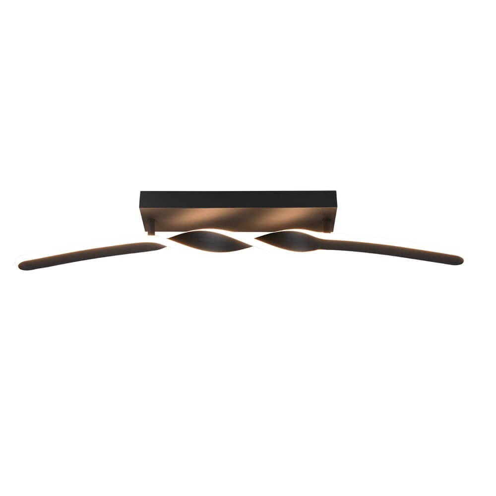 Plafonnier design Ginko noir Trio 4017807642520