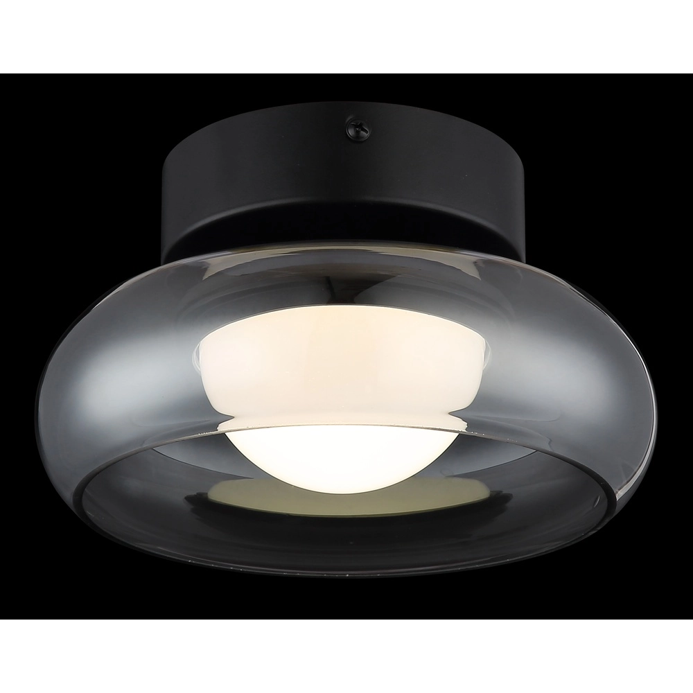 Lampe de plafond à design Carlene Noir Globo 9007371566174