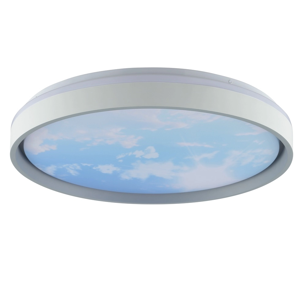 Éclairage de plafond Sky-Dream blanc avec gris Ø 48,5cm Brilliant 4004353473999