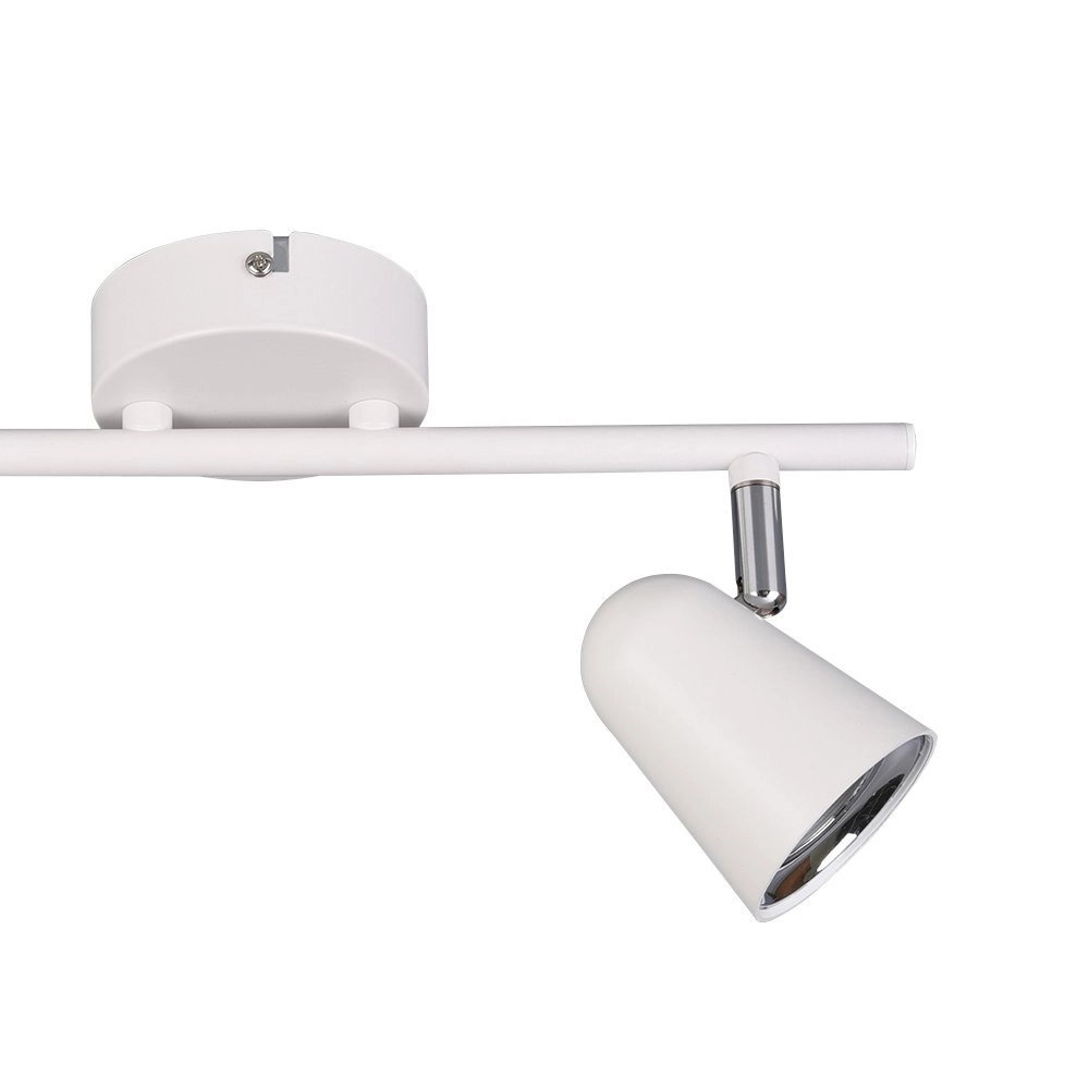 Spot de plafond Toulouse 2 lumières Trio 4017807425147