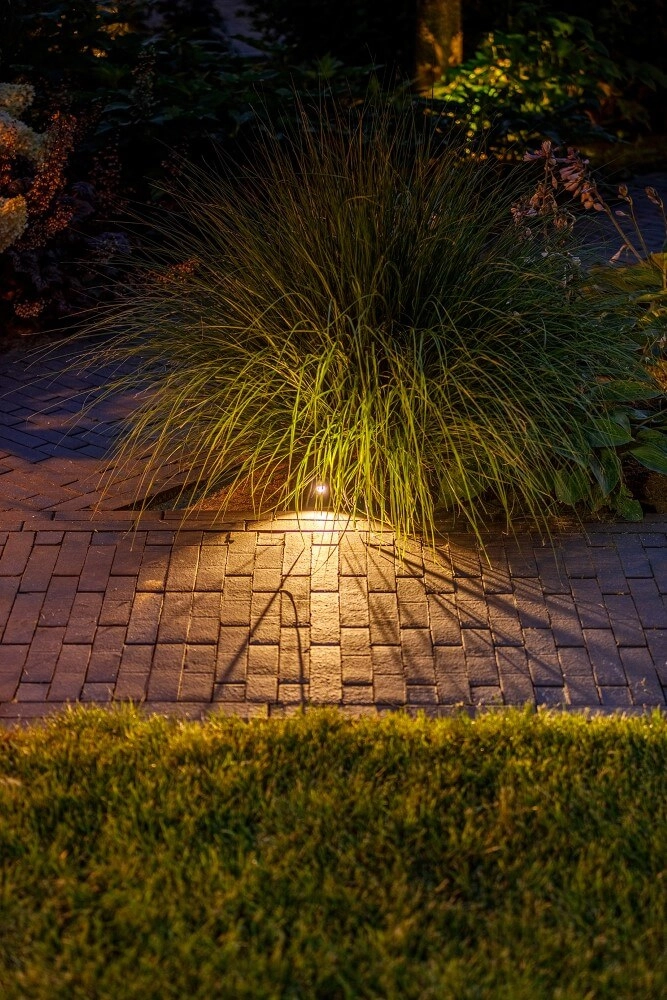 Tache de crapaud Tiga noir Lightpro 8719979282110