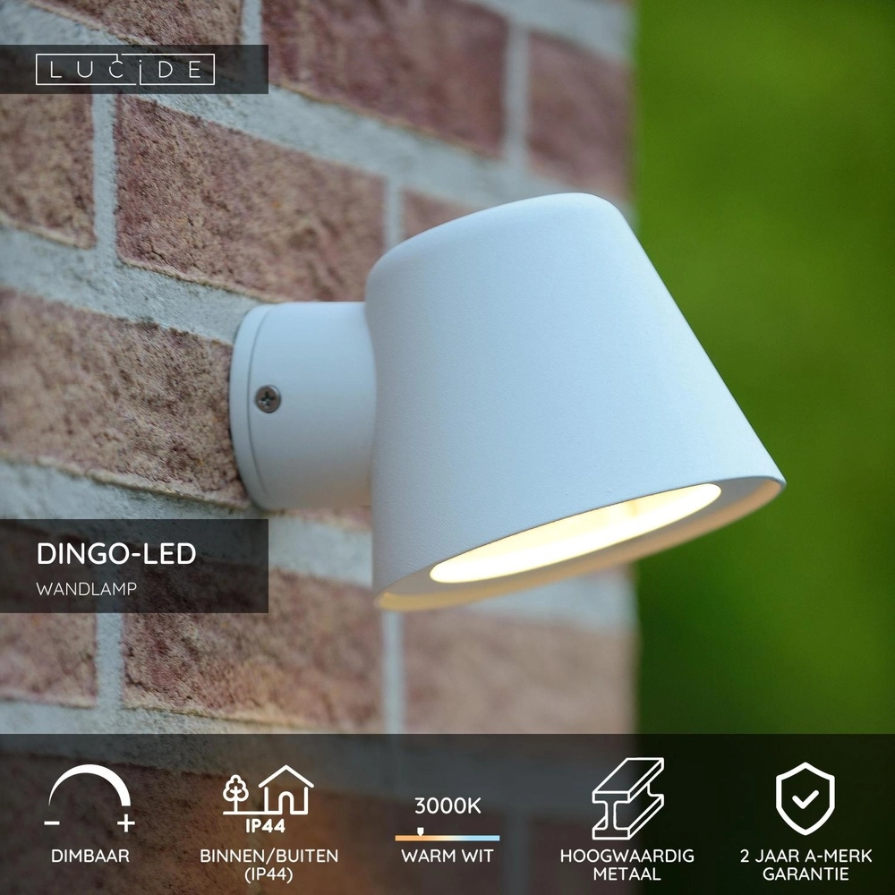 Projecteur mural Dingo-Led IP44 blanc Lucide 5411212143822