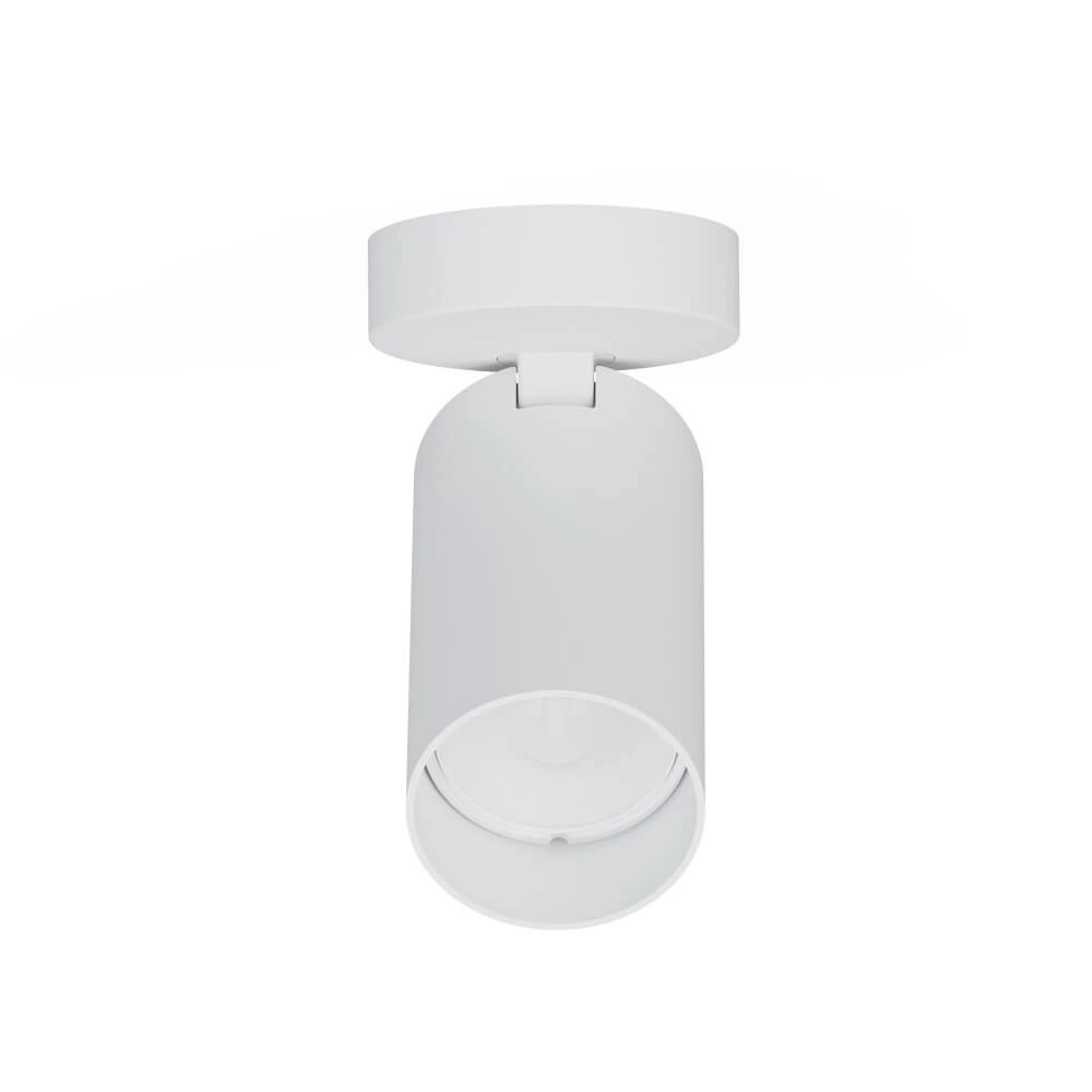 Spot en saillie blanc Mono inclinable Lyora 5903139780797