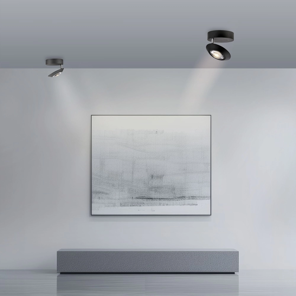 Spot LED au plafond Pure Oculis Black Pearl Paul Neuhaus 4012248397053