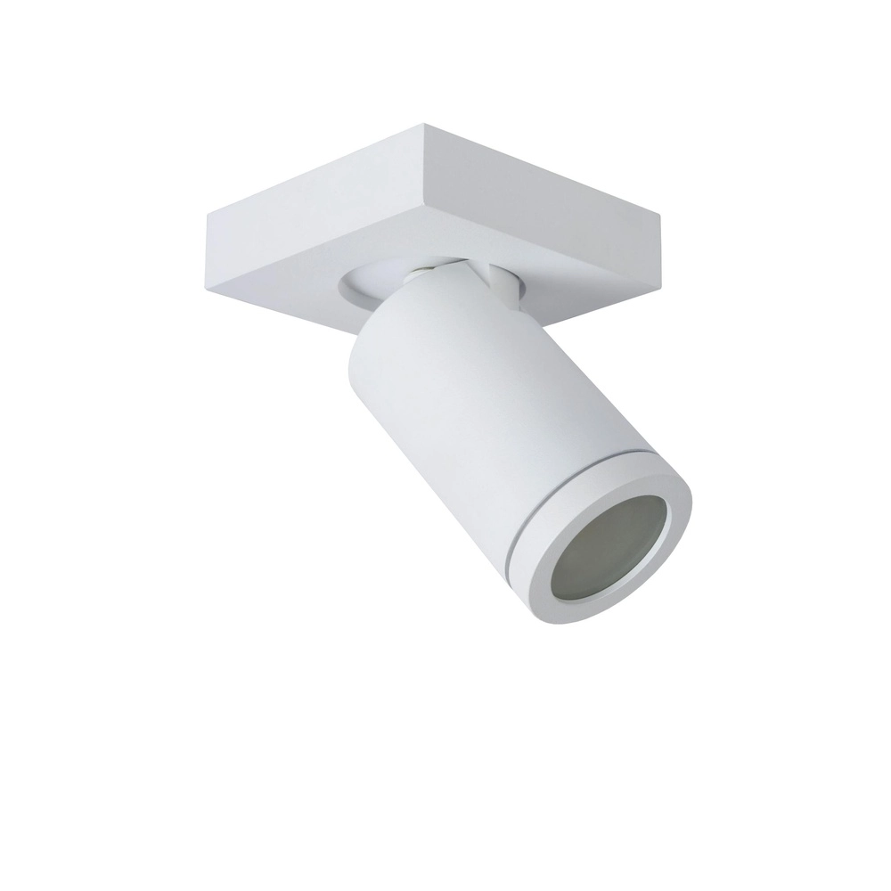 Projecteur de plafond Taylor IP44 blanc uniquement