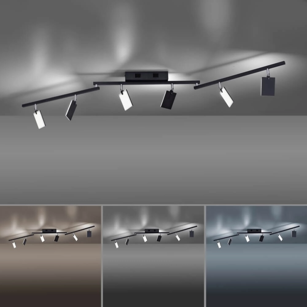 Plafonnier Pure Mira 6 lumières noir Paul Neuhaus 4012248359464