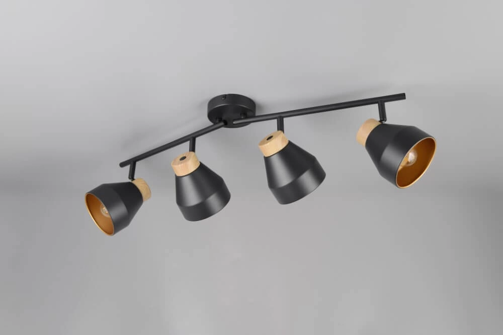 Plafonnier design 4 lumières Valentin noir Trio 4017807637434