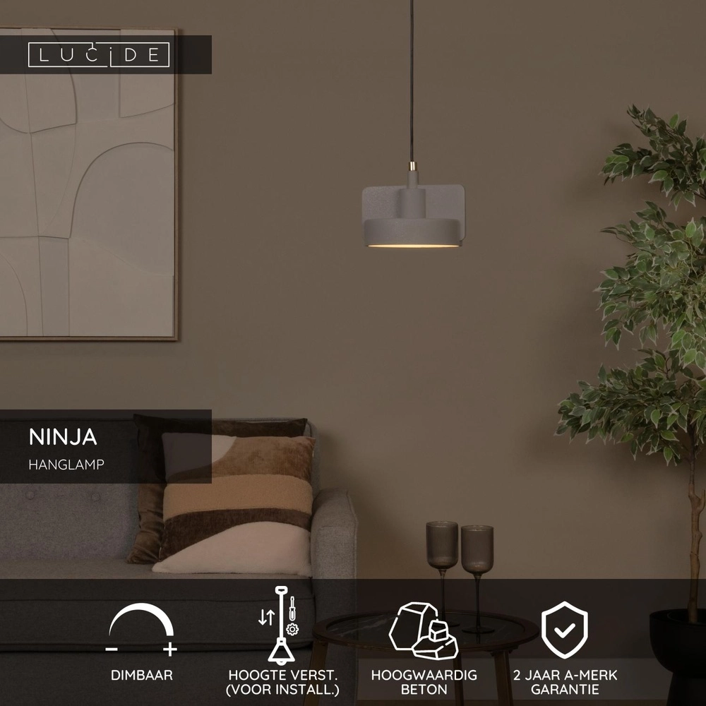 Lampe pendante de conception Ninja gris Lucide 5411212441812