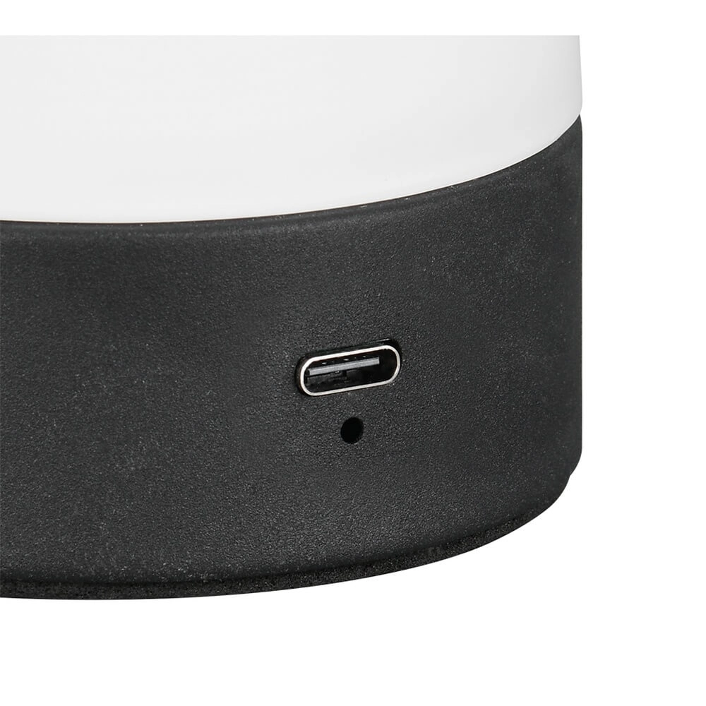 Lampe de table Dooley rechargeable avec verre blanc Trio 4017807643121