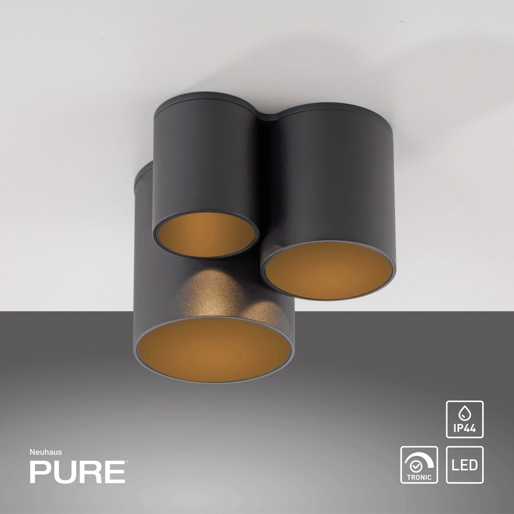 Éclairage de plafond 3L Pure Point Black Pearl Paul Neuhaus 4012248395714