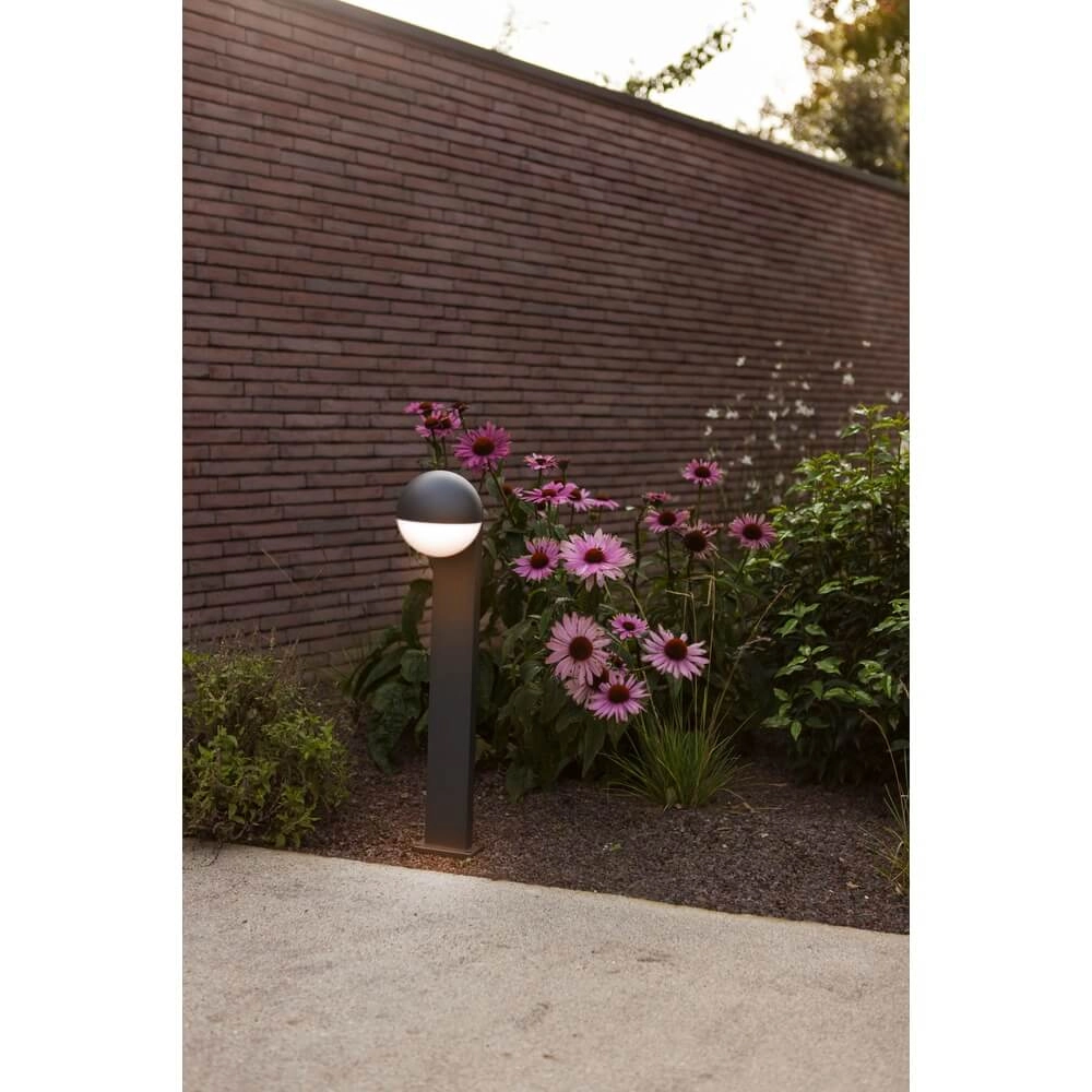 Éclairage de chemin d’ampoule Looma Lutec 6939412070957