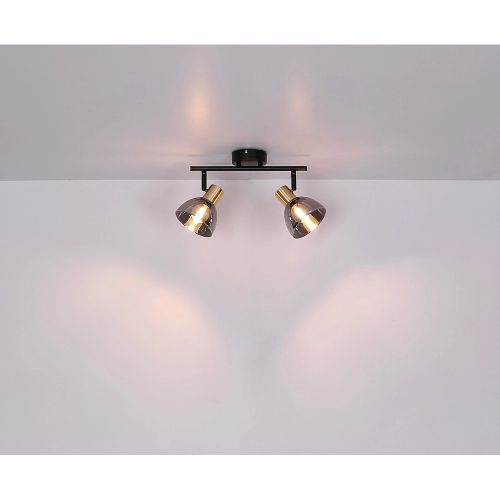 Lampe de plafond à design Jay 2-light noir avec fumée Globo 9007371396399